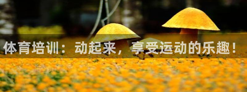 富联机器人产业研发基地：体育培训：动起来，享受运动的